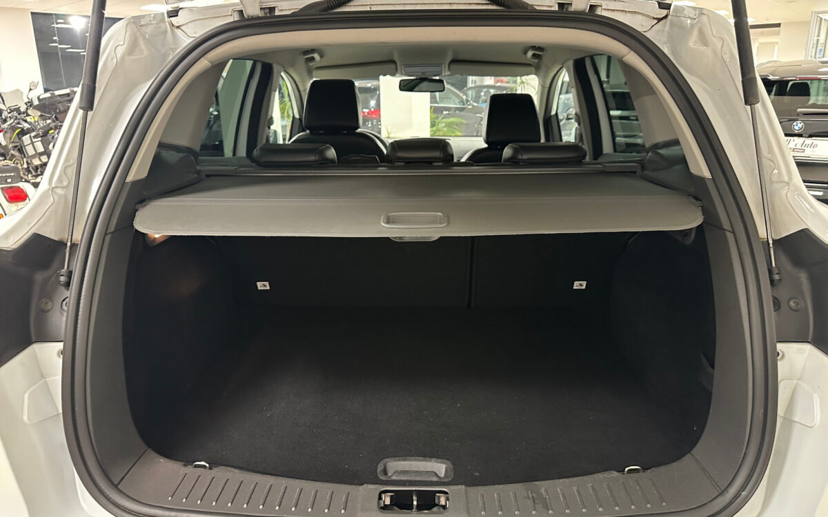 Ford Kuga Kuga 2.0 TDCi 163 CV 4WD Titanium DPF